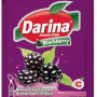 Darina Instant Powder Drink Blackberry 30GR