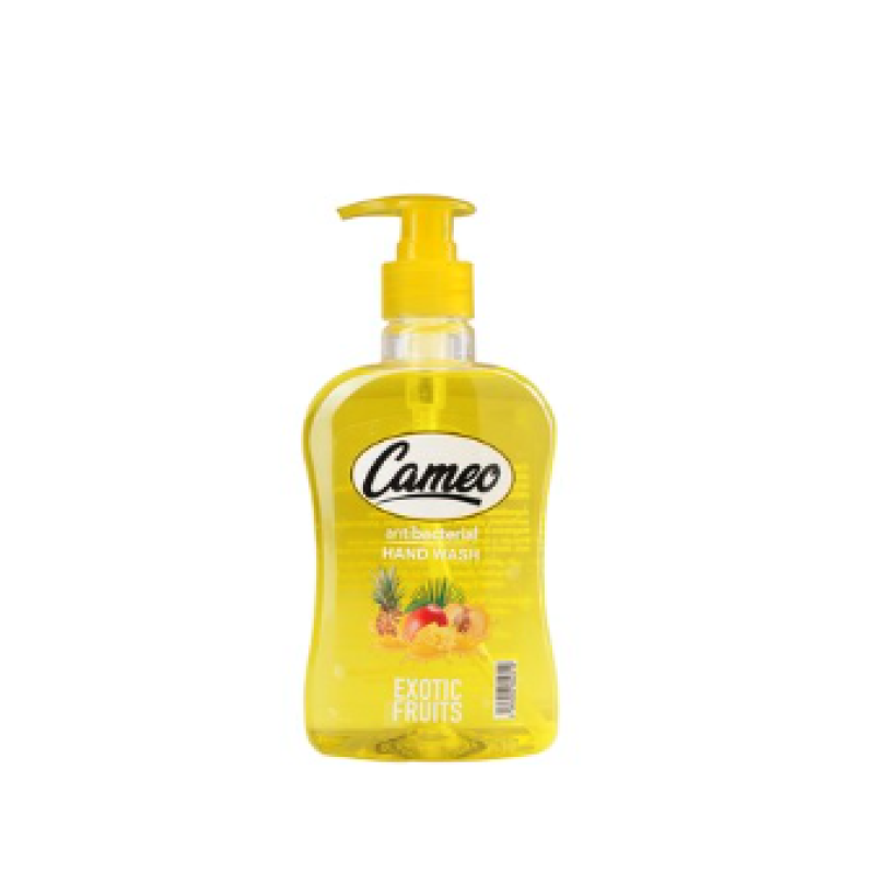 Cameo Anti-Bacterial Exotic Fruits Hand Soap 500ML
