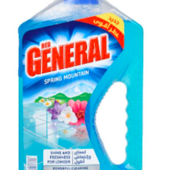 Spring Mountain Floor Cleaner, 750ml